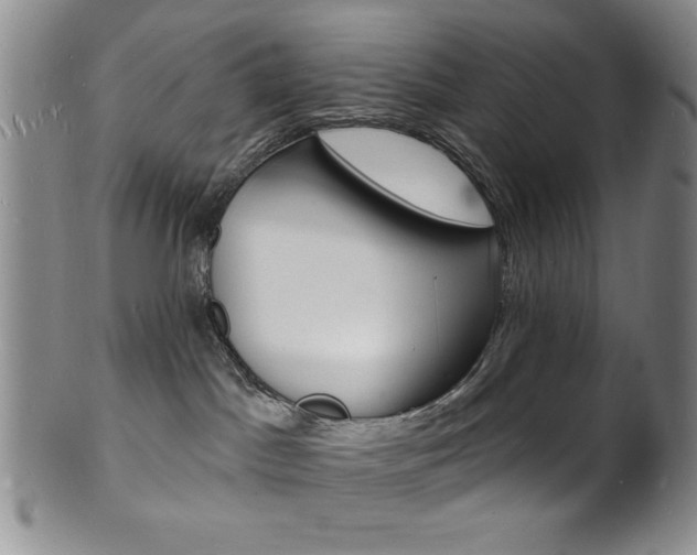 X0000101690045200807101218