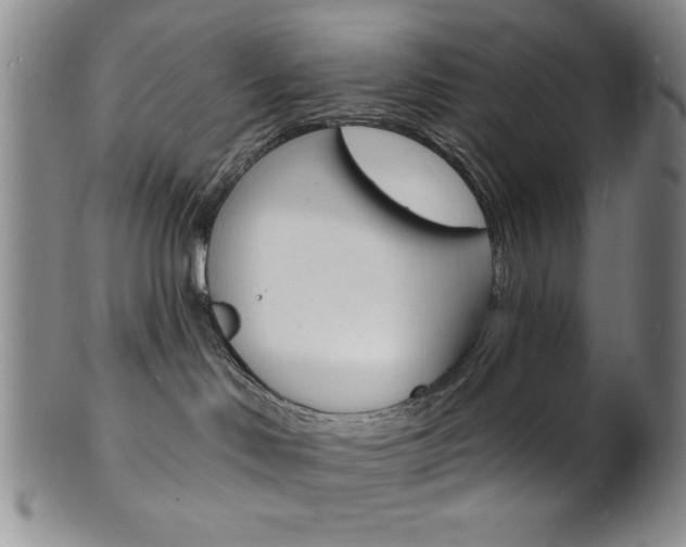 X0000101690046200807101218