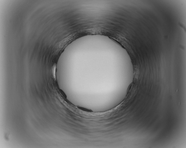 X0000101690047200807101218