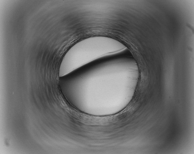 X0000101690048200807101218