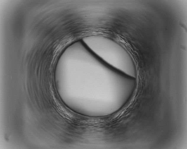 X0000101690049200807101218
