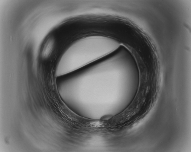 X0000101690050200807101218