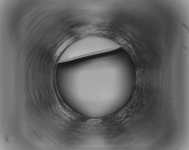 X0000101690051200807101218