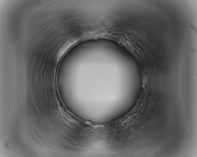 X0000101690052200807101218