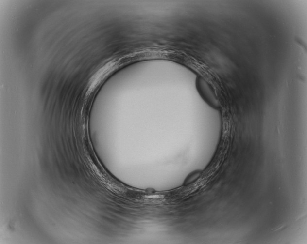 X0000101690053200807101218
