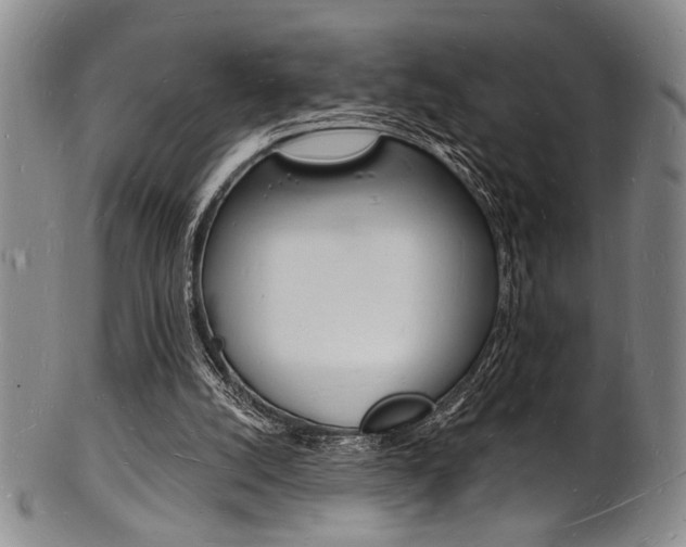 X0000101690056200807101218