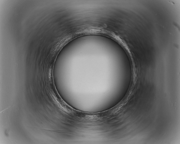 X0000101690057200807101218