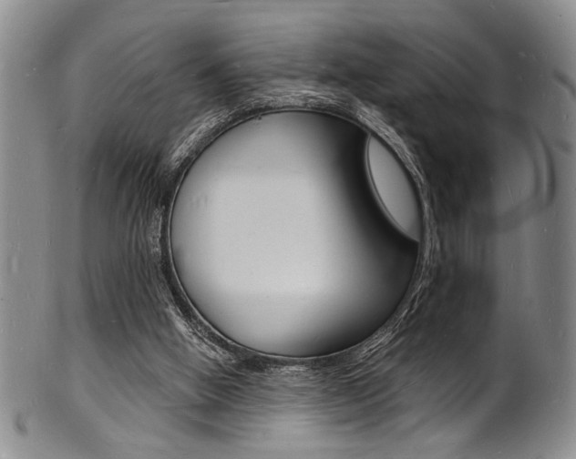 X0000101690058200807101218