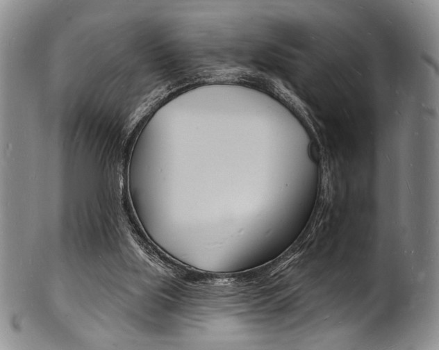 X0000101690059200807101218