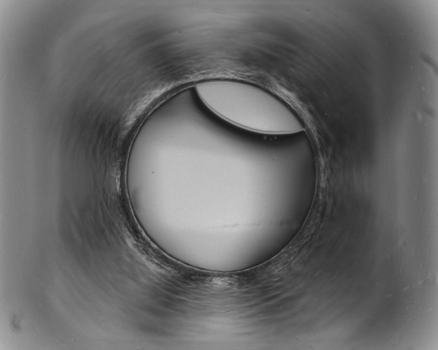 X0000101690060200807101218