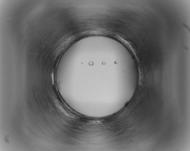 X0000101690061200807101218