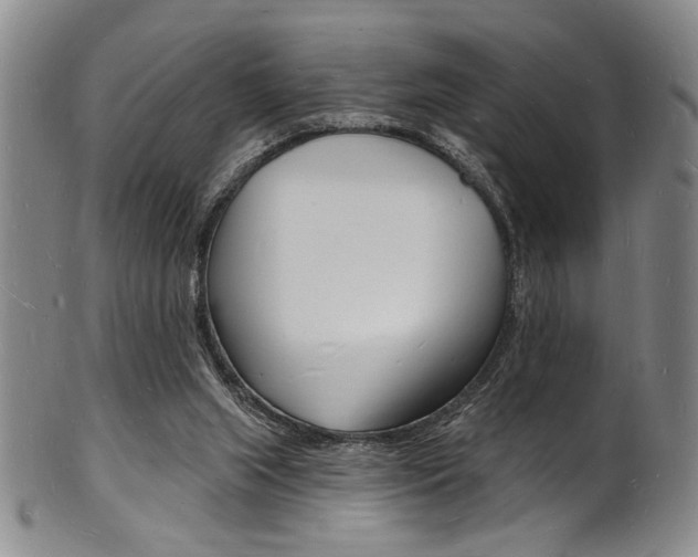 X0000101690063200807101218