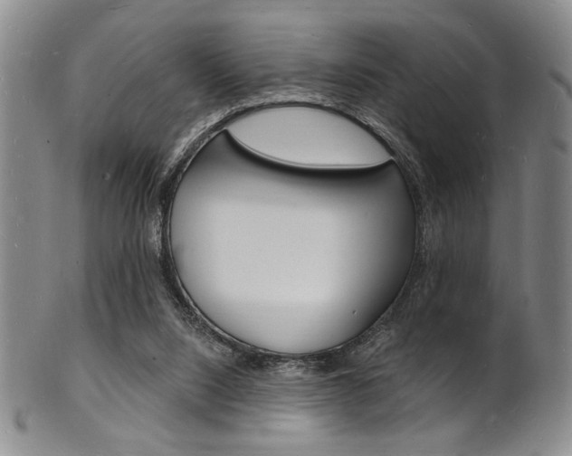 X0000101690064200807101218