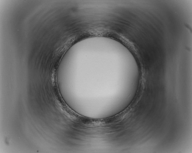 X0000101690065200807101218