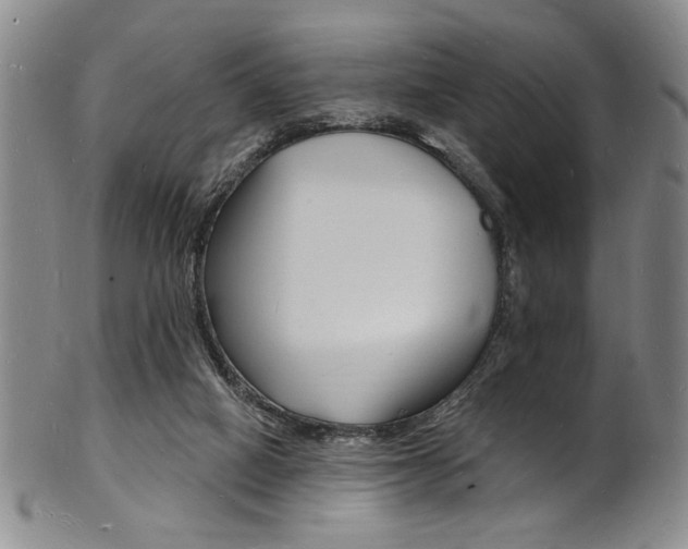X0000101690066200807101218