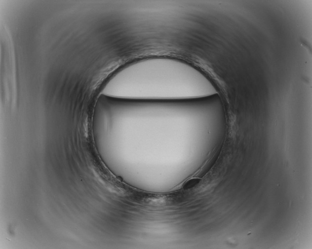 X0000101690068200807101218