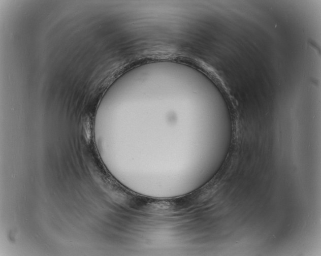 X0000101690069200807101218