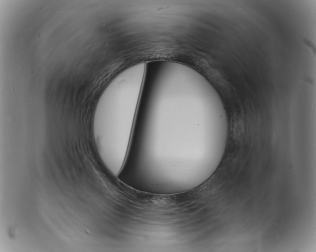 X0000101690070200807101218