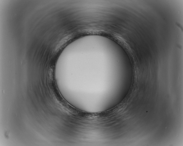 X0000101690071200807101218