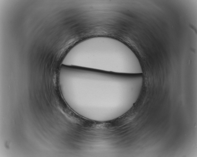 X0000101690072200807101218