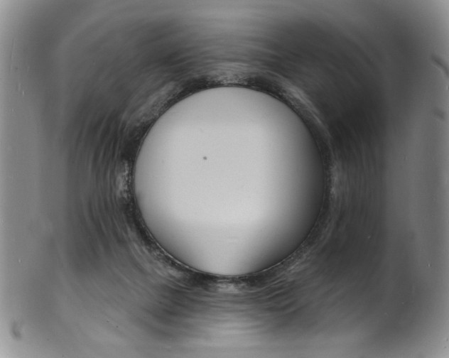 X0000101690073200807101218