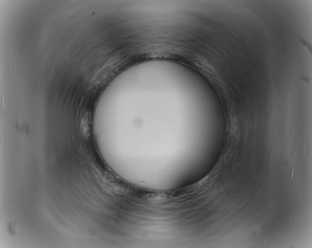 X0000101690074200807101218