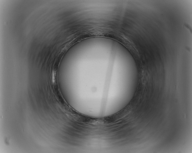 X0000101690075200807101218