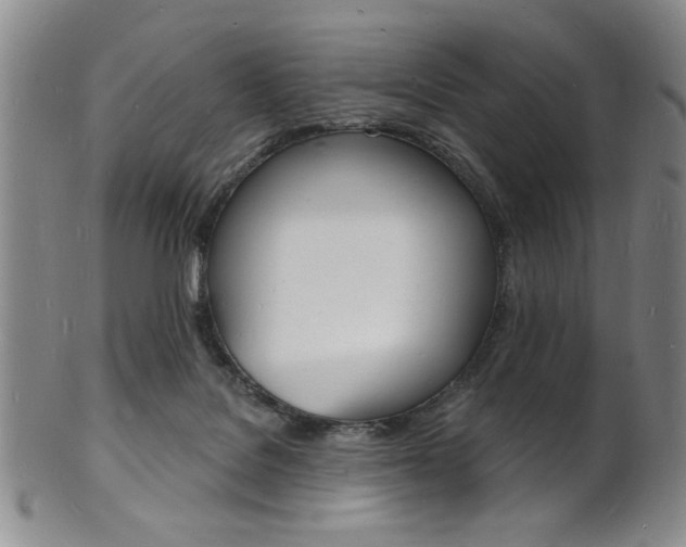 X0000101690076200807101218