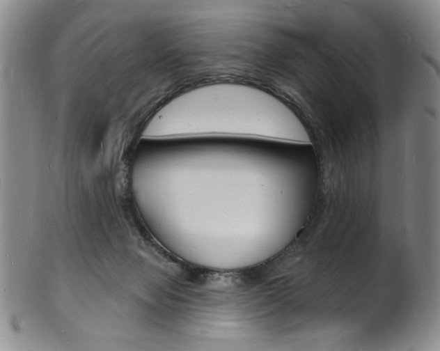 X0000101690077200807101218