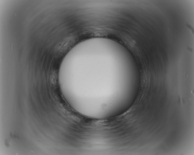 X0000101690078200807101218