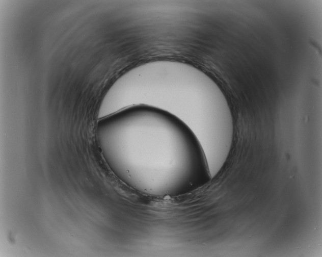 X0000101690079200807101218