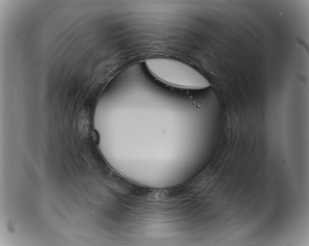 X0000101690080200807101218