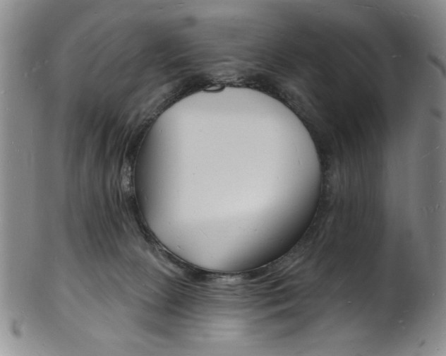 X0000101690081200807101218