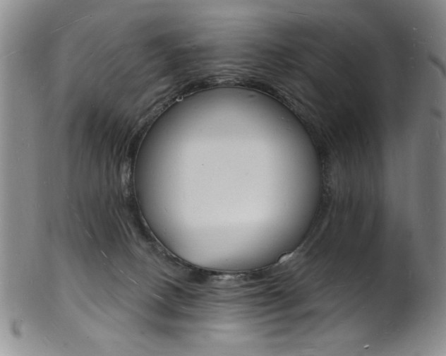 X0000101690082200807101218