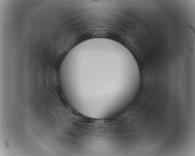 X0000101690083200807101218