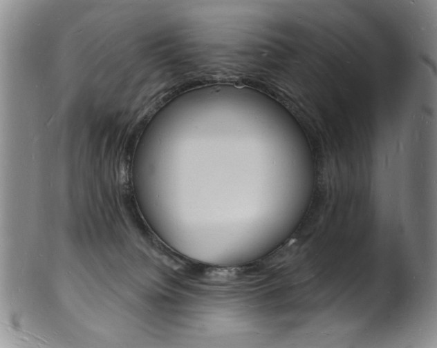 X0000101690084200807101218