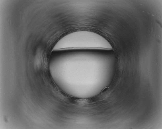 X0000101690085200807101218
