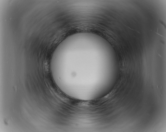 X0000101690086200807101218