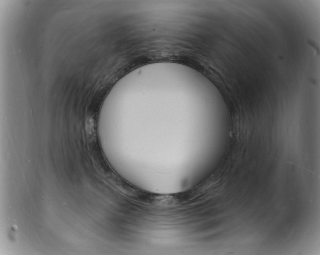 X0000101690087200807101218