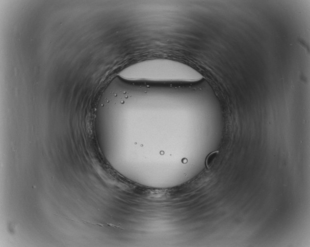 X0000101690088200807101218