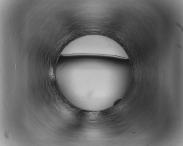 X0000101690089200807101218