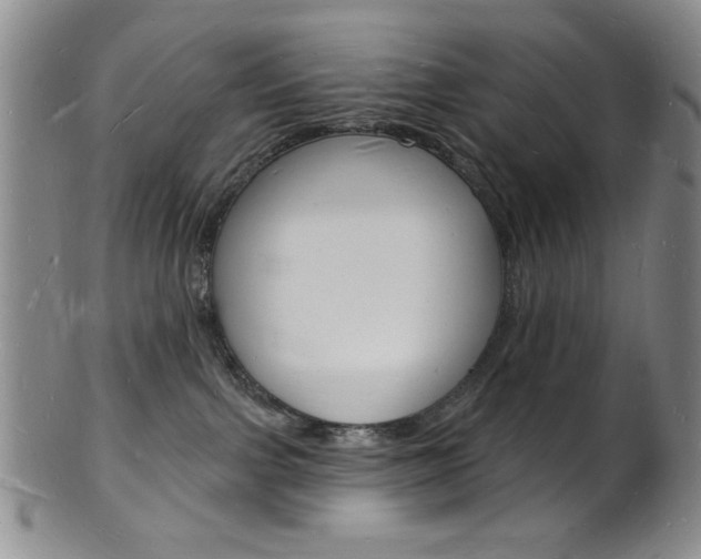 X0000101690091200807101218