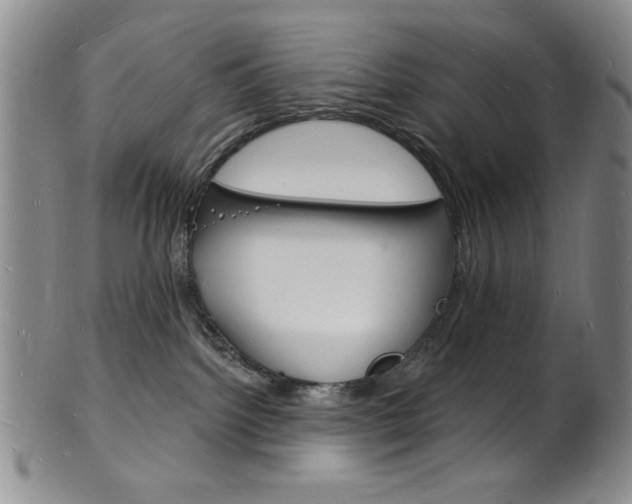 X0000101690092200807101218