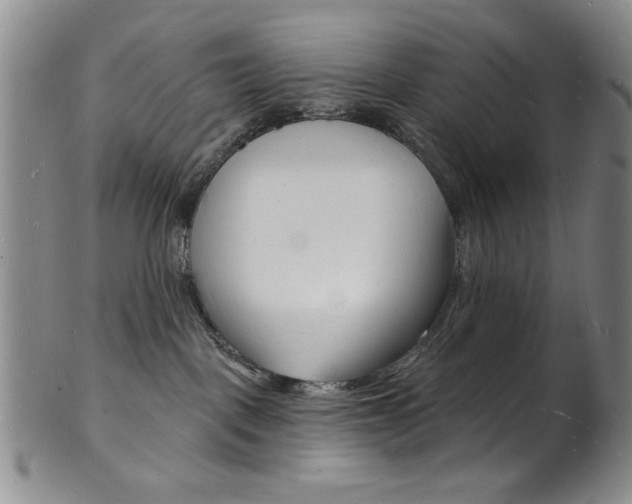 X0000101690093200807101218