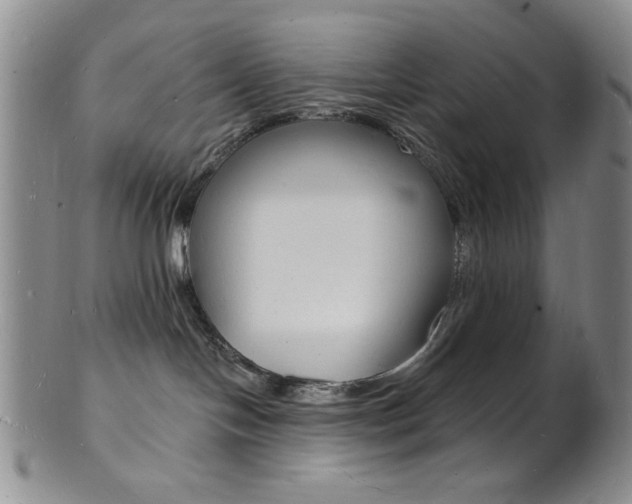 X0000101690094200807101218