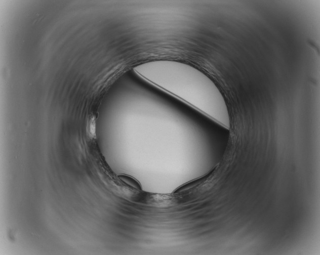 X0000101690095200807101218