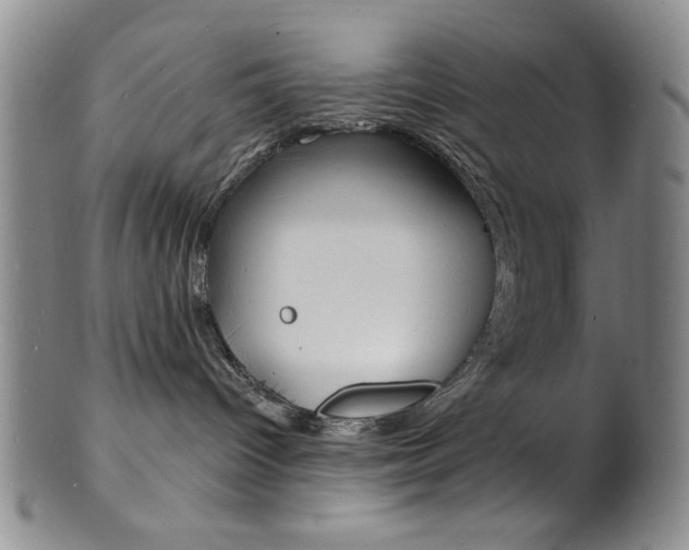 X0000101690096200807101218