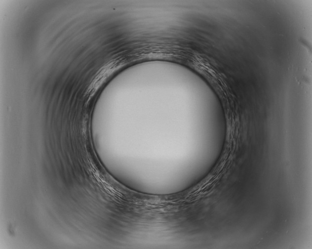X0000101690098200807101218