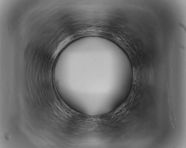 X0000101690099200807101217