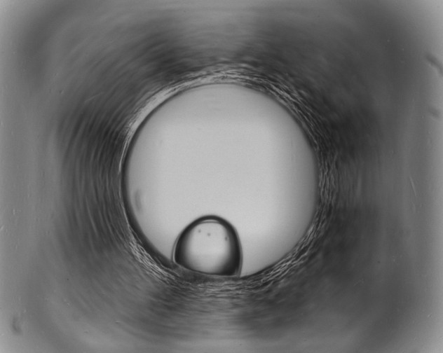 X0000101690100200807101217